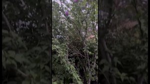 Астраханский кремль