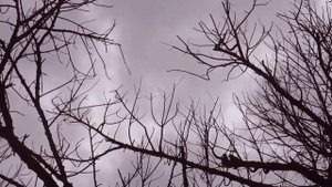 Дом, в котором.mp4