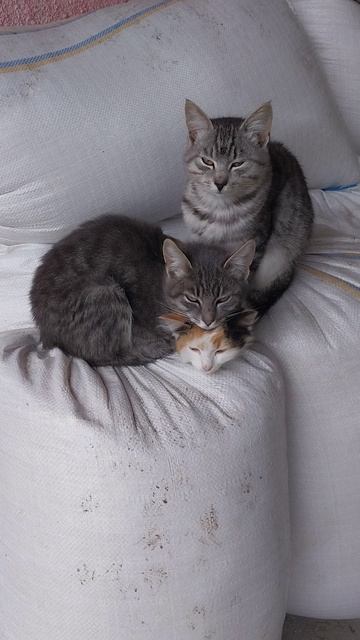 Согрей меня :) смотреть онлайн