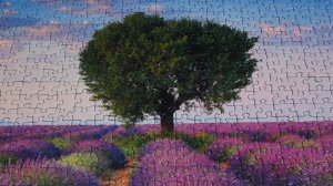 О пути, цели и целостности