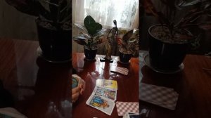 Таро.Ваш день.