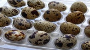 Канапе из яиц на завтрак