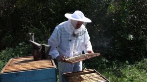 Осенние работы на пасеке в Приморском крае.