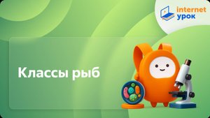 Классы рыб. Видеоурок по биологии 7 класс