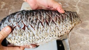 Рыбаки научили, я готовлю. Сазан с овощами
