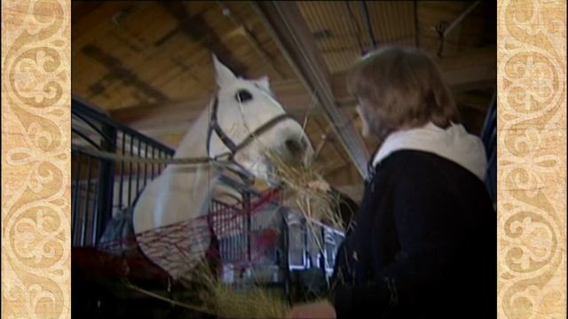 Непрофессионалы. Конкур