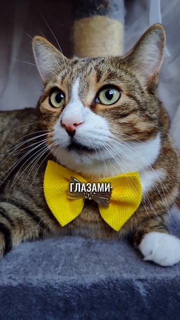 Вы точно не поверите!