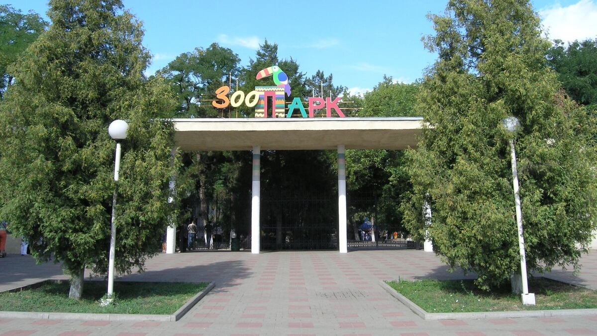 РОСТОВСКИЙ ЗООПАРК. СЛОНЫ. НОСОРОГ. (продолжение следует!) следующее Белочки в теремке.