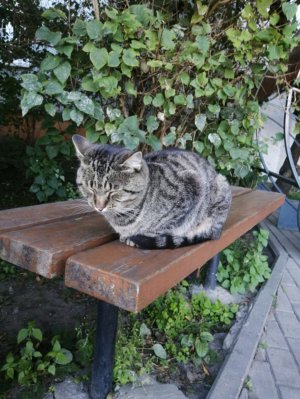 Калининград