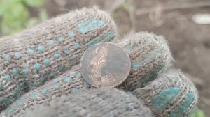ПАРА СЕРЕБРЯНЫХ НАХОДОК ДЕЛАЕТ ЭТОТ ВЫЕЗД...