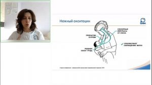 Успешное грудное вскармливание. Часть 1. Физиология лактации