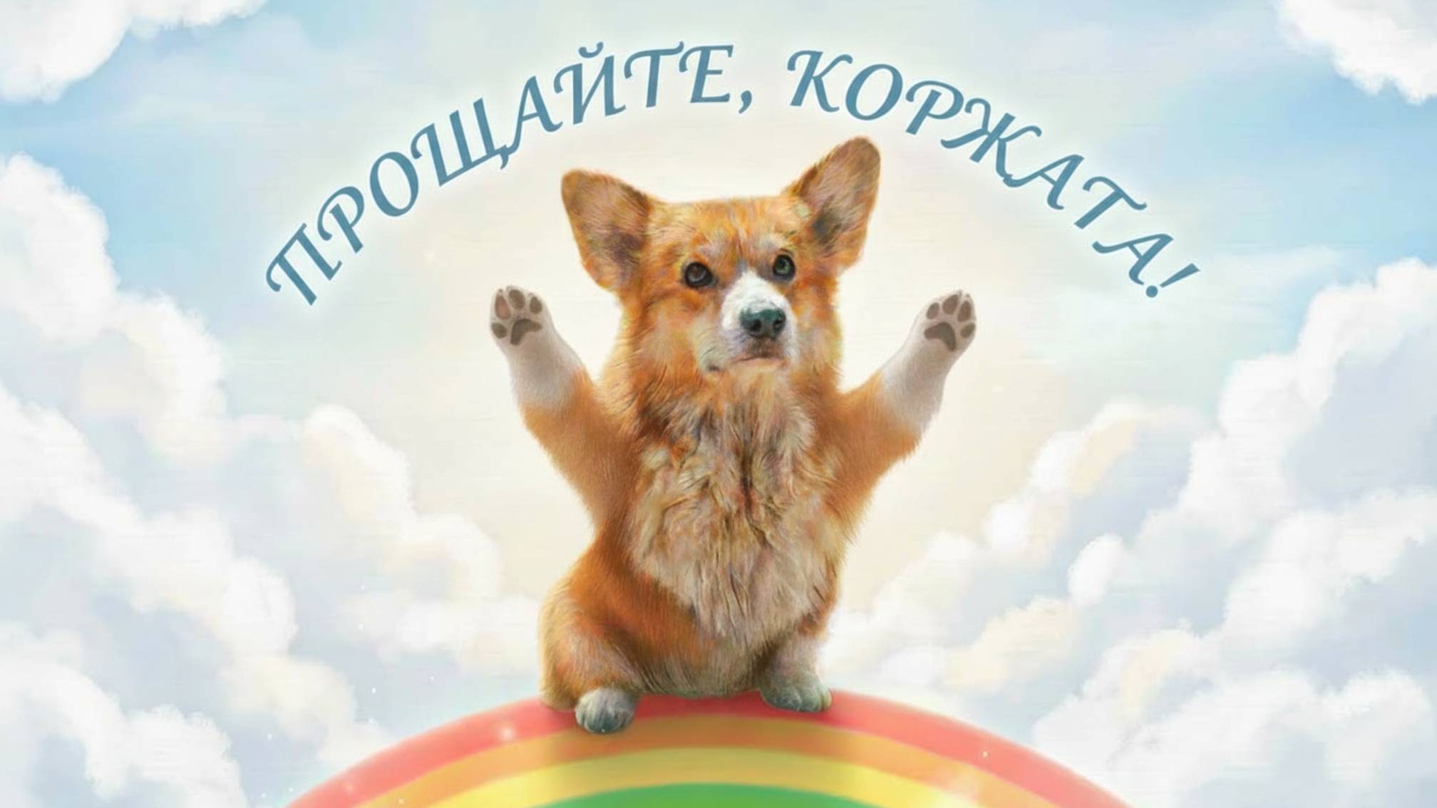 В ПАМЯТЬ О КОРГИ КОРЖИКЕ! Лучшие серии канала