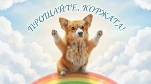 В ПАМЯТЬ О КОРГИ КОРЖИКЕ! Лучшие серии канала