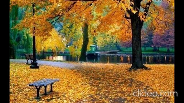 images-8_VPbACR2G смотреть онлайн