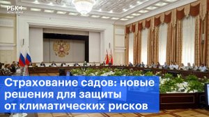 Страхование садов: новые решения для защиты от климатических рисков