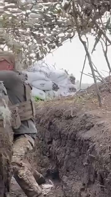 Помните, какой ценой обеспечен мир в наших домах. Помните, чья грудь закрывает нас от свиста пуль смотреть онлайн