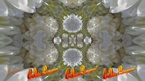 С Днём Рождения 4!!! Осенняя краса!