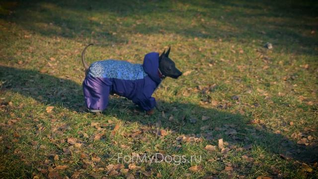 FORMYDOGS Reflective Overalls For Dogs