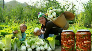 Собираю урожай капусты, что бы приготовить кимчи вместе с детьми и отнести ее на рынок для продажи