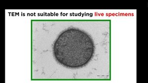 Электронная микроскопия научнопопулярно-2024-11-03-17-17-56-985