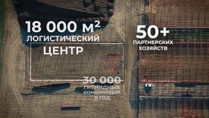 25 лет в селекции и семеноводстве. К юбилею компании «АГРОПЛАЗМА» .