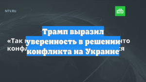 Трамп выразил уверенность в решении конфликта на Украине