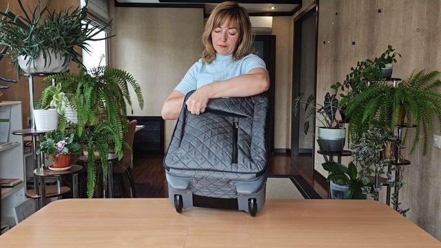 Дорожная сумка на колесах Polar П7123 (20") серая смотреть онлайн