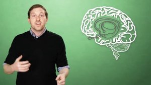 Йога Смеха, гелотология и что наука знает о смехе