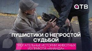 Пушистики с непростой судьбой. Трогательные истории животных из приюта «Ананда»
