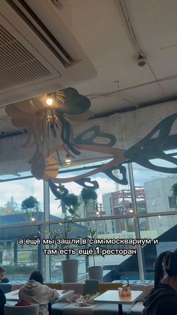 #москвариум #вднх #москвариумвднх #море #осьминог #москва #москва2025 #вднх2025 #осень #осень2025 #о смотреть онлайн