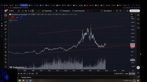 Палладий комплексный анализ актива (спецвыпуск)