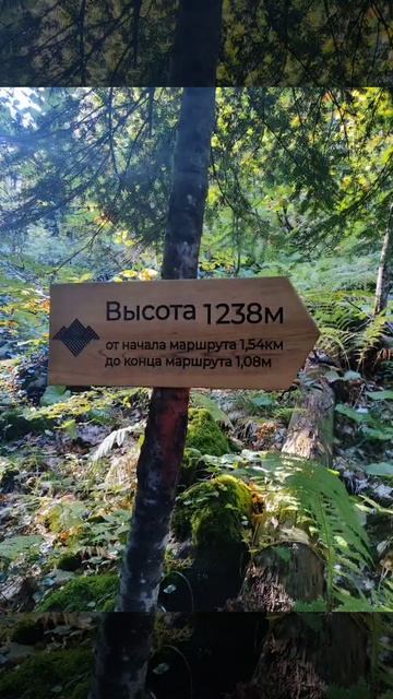 малая Рица Абхазия 2025 дорога до малой смотреть онлайн