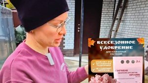 ОБЯЗАТЕЛЬНО ОСЕНЬЮ НУЖНО ПОДКОРМИТЬ ВСЕ МНОГОЛЕТНИЕ ЦВЕТЫ.