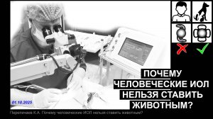 Почему "человеческие" интраокулярные линзы (ИОЛ) нельзя ставить животным?