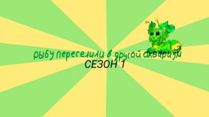 Рыбу переселили в другой аквариум! финал.