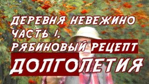 Нежинская или невежинская рябина: Невежино — родина знаменитой русской рябины, рецепт долголетия