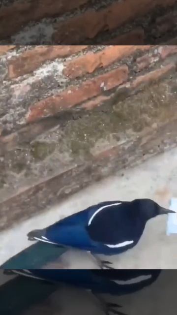 Давай меняться