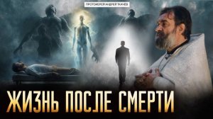 Зарождение, личность и сон. Протоиерей Андрей Ткачёв