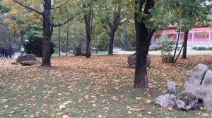 Последний визит на дачу.Урожай малины.Уголок Китая.Квартира по реновации.