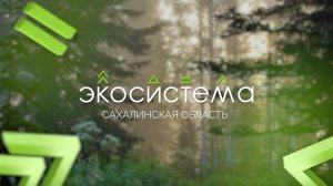 Сахалинское региональное отделение Движения «Экосистема»