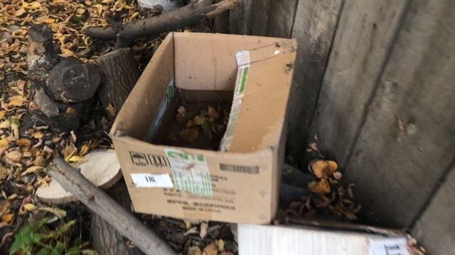 Последний тёплый день на даче смотреть онлайн