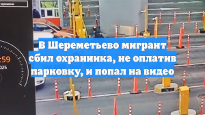 В Шереметьево мигрант сбил охранника, не оплатив парковку, и попал на видео
