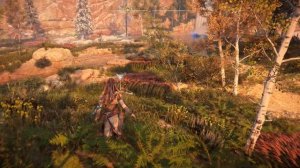 Horizon Zero Dawn Remastered Ещё доп задания №3