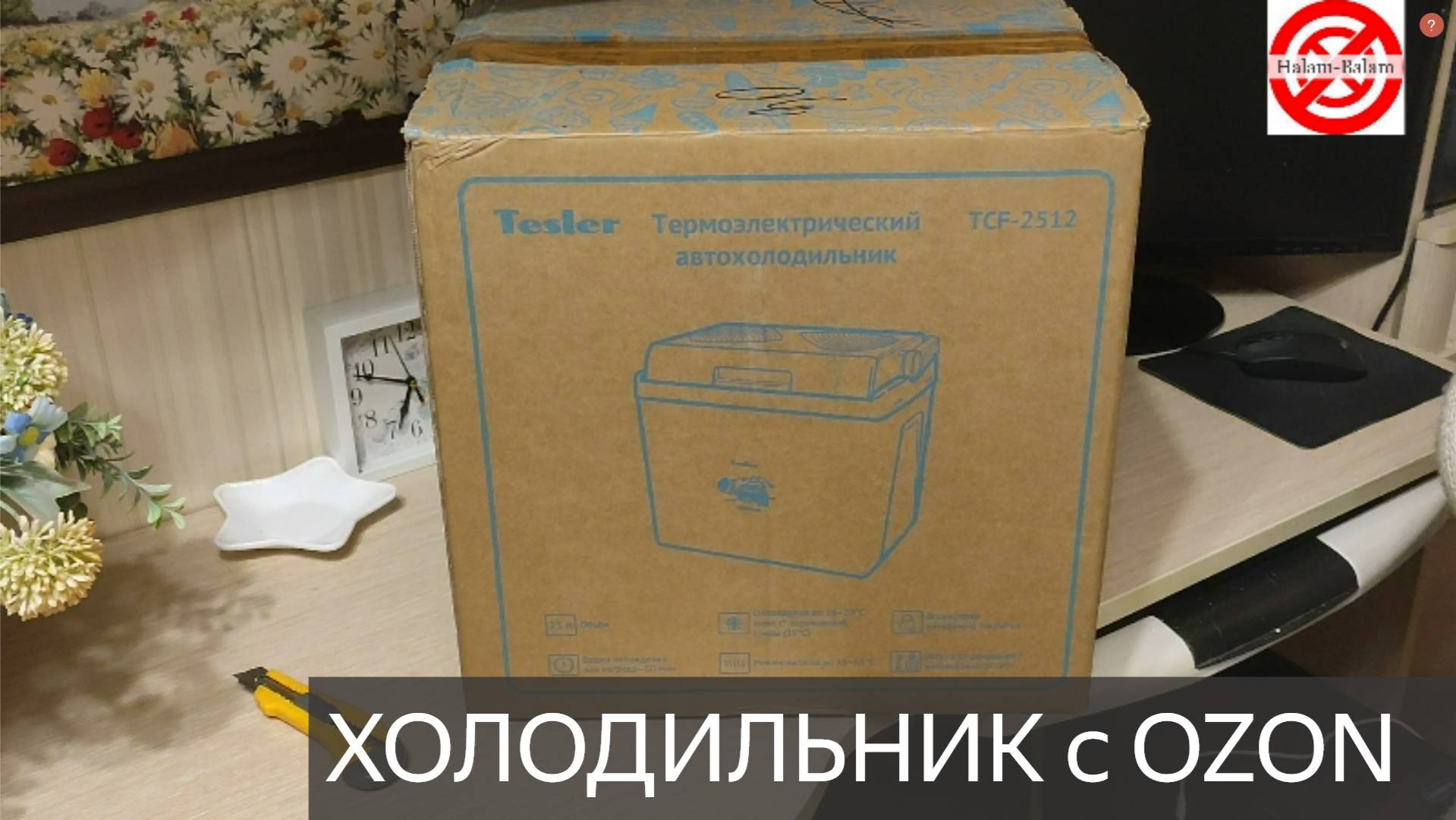 Автохолодильник купил на OZON/Эффект Пельтье!ОБЗОР РАСПАКОВКА