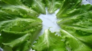 Канапе к шампанскому на скорую руку