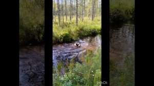 Осень-Карелия .