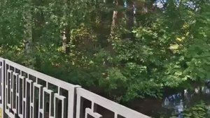 Серебряный бор: Летняя рапсодия души