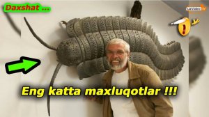 Yaxshiyamki qirilib ketgan tarixiy mavjudotlar Dunyo daxshatlari !!!