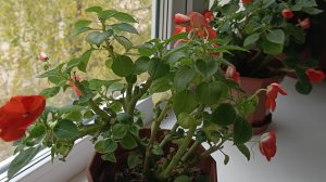 02-10-2025💥Влог💥уборка💥внук приехал