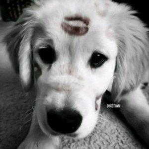 типо крутой 💓💓💓💓💓😉😉🌮🌮😎😎👍👍🖤